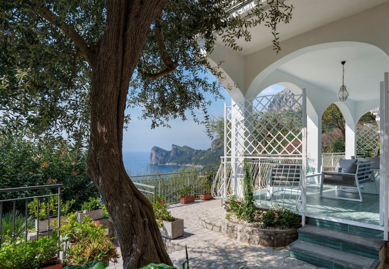 Apartment in Massa Lubrense - Belvedere apartament in Nerano stunning sea view 