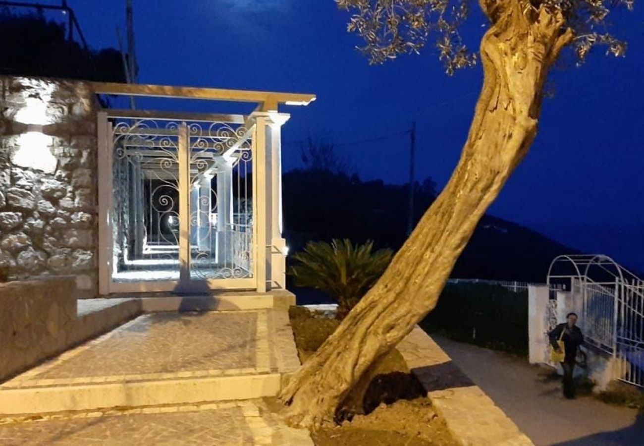 Apartment in Massa Lubrense - Belvedere apartament in Nerano stunning sea view 