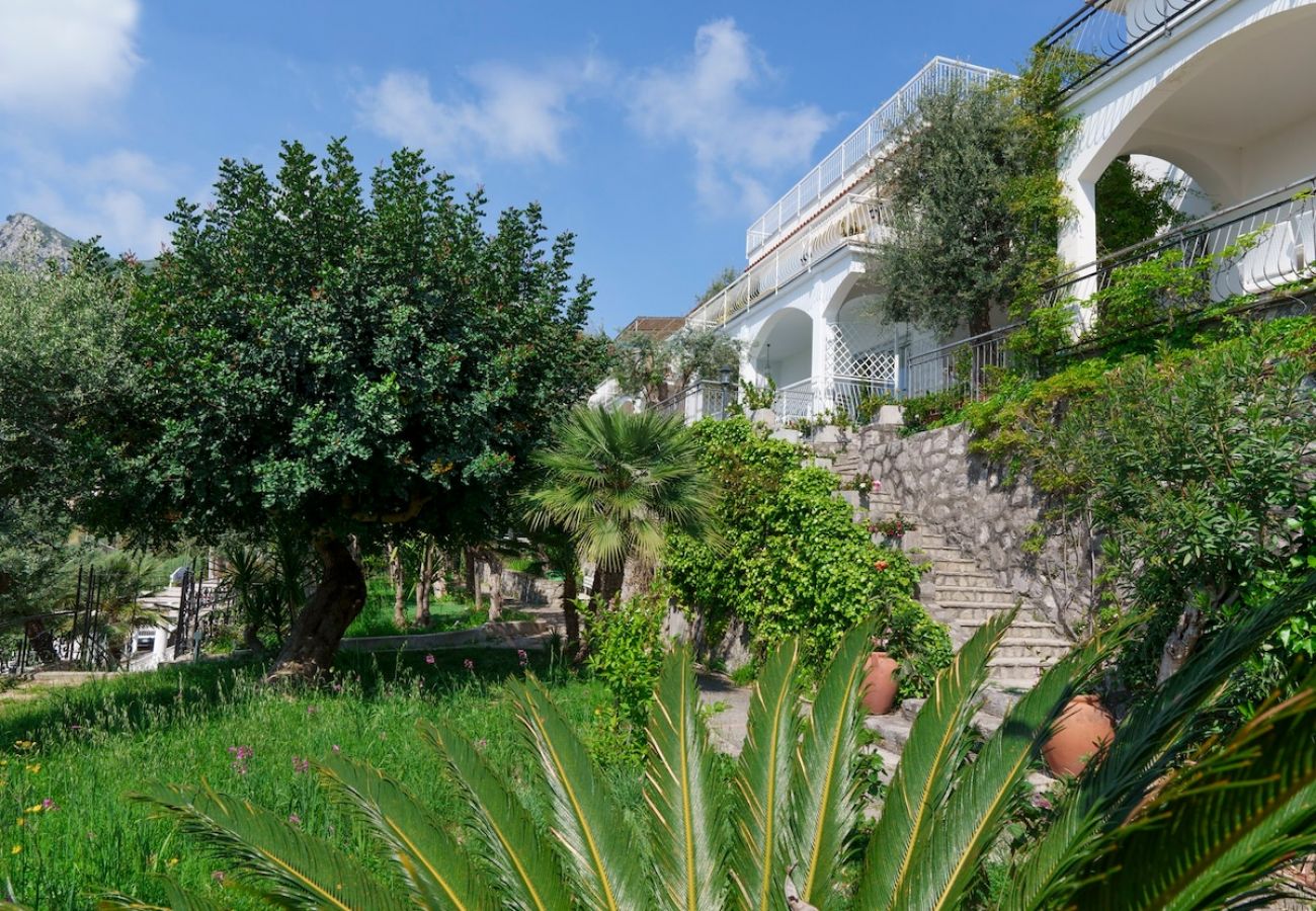 Apartment in Massa Lubrense - Belvedere apartament in Nerano stunning sea view 