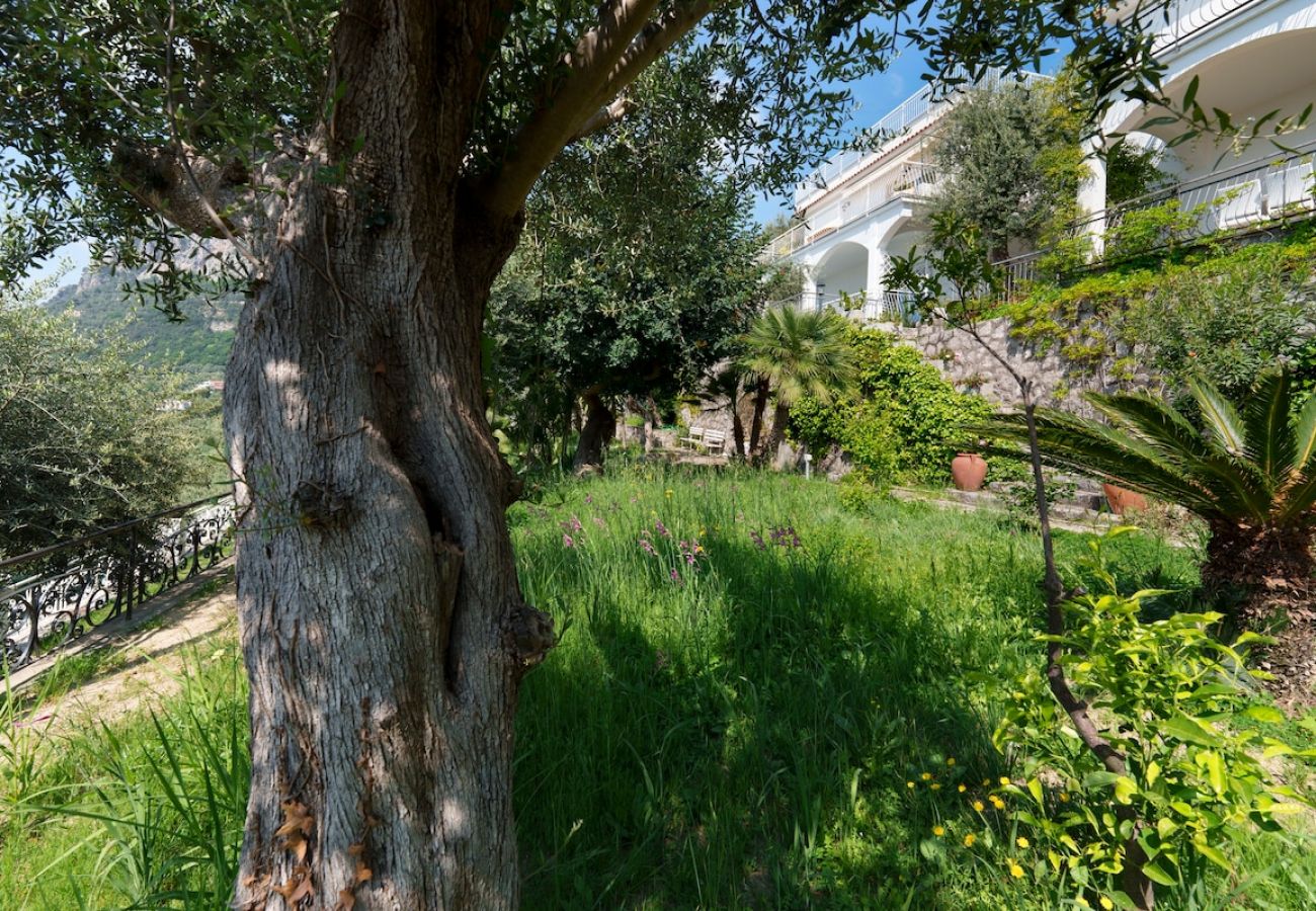 Apartment in Massa Lubrense - Belvedere apartament in Nerano stunning sea view 