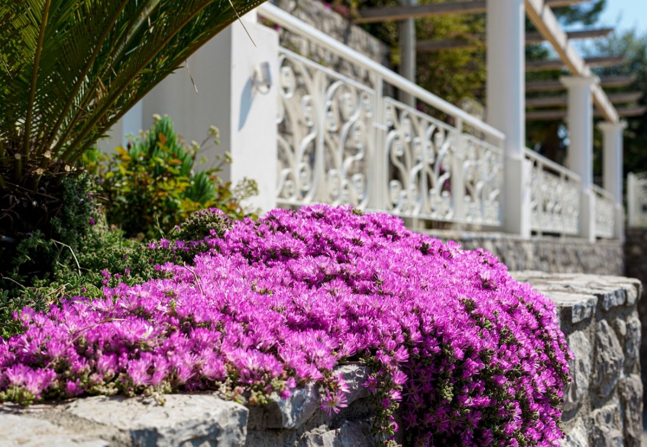 Apartment in Massa Lubrense - Belvedere apartament in Nerano stunning sea view 