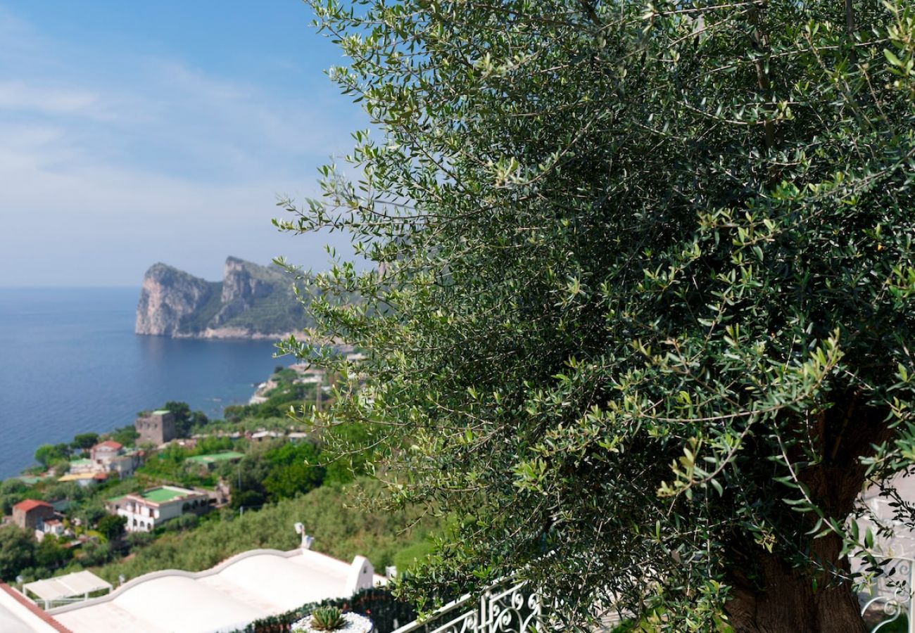 Apartment in Massa Lubrense - Belvedere apartament in Nerano stunning sea view 
