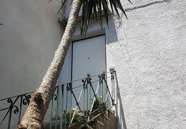 Apartment in Sorrento - My  Home Sorrento  Apartment in Sorrento - My  Home Sorrento