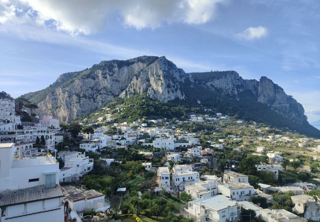 Apartment in Capri - The Capri Fresco  10 minutes from the square Apartment in Capri - The Capri Fresco  10 minutes from the square