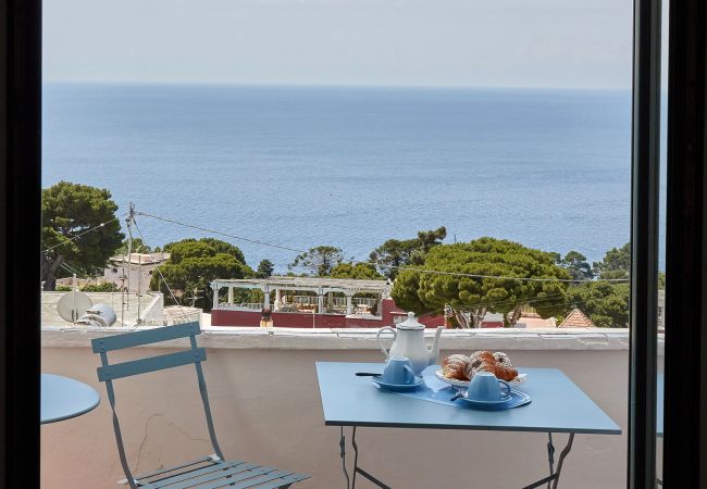 Apartment in Capri - The Capri Fresco  10 minutes from the square Apartment in Capri - The Capri Fresco  10 minutes from the square