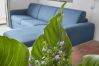 Apartment in Capri - The Capri Fresco  10 minutes from the square Apartment in Capri - The Capri Fresco  10 minutes from the square