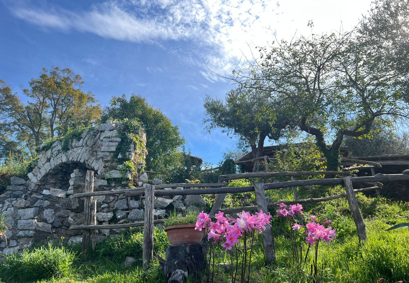 Rent by room in Vico Equense - Camera La Contessa ad Astapiana