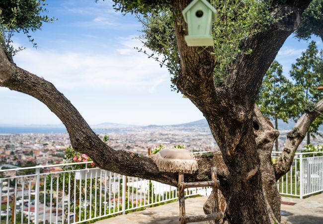 Rent by room in Casola di Napoli - Dolci Colline Suite